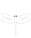dragonfly- top view